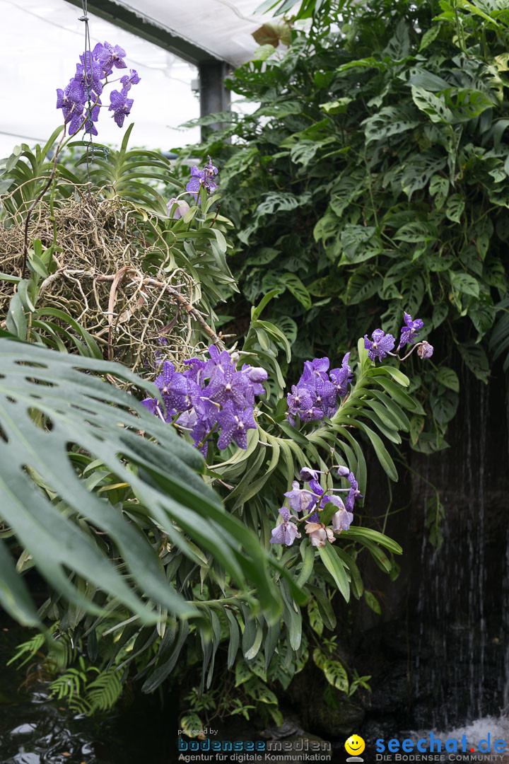 Insel Mainau: Die Blumeninsel mitten im Bodensee, 28.05.2014