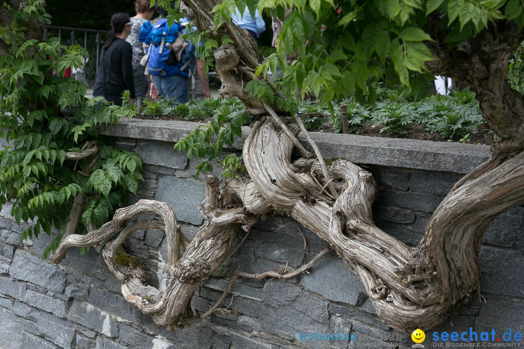 Insel Mainau: Die Blumeninsel mitten im Bodensee, 28.05.2014