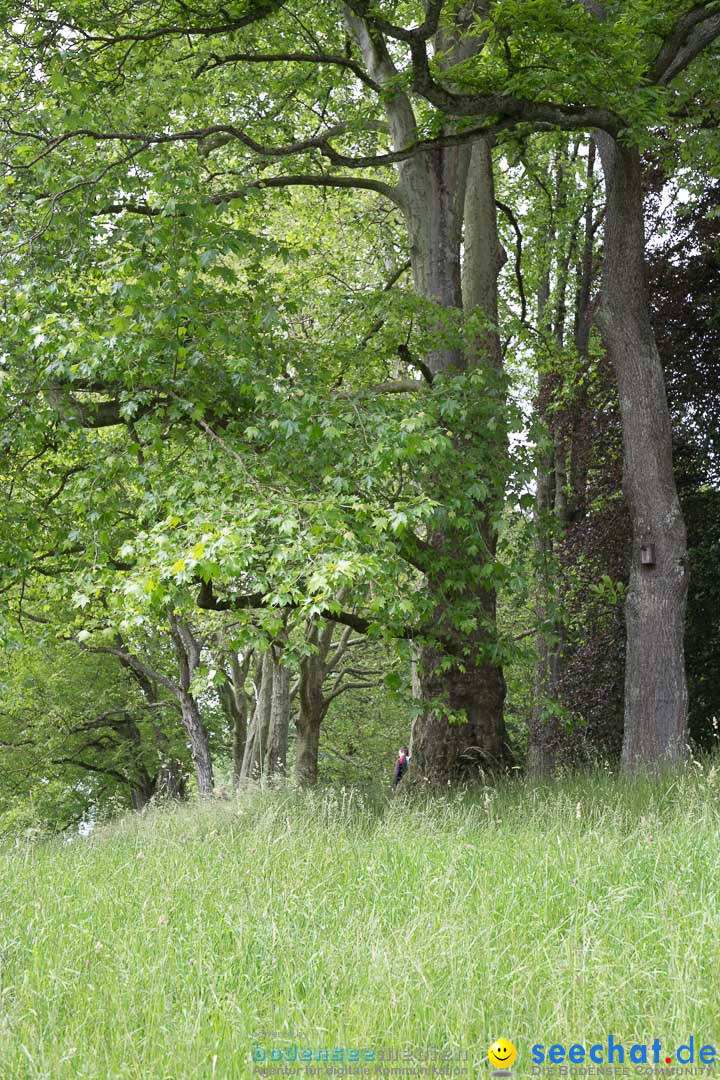 Insel Mainau: Die Blumeninsel mitten im Bodensee, 28.05.2014