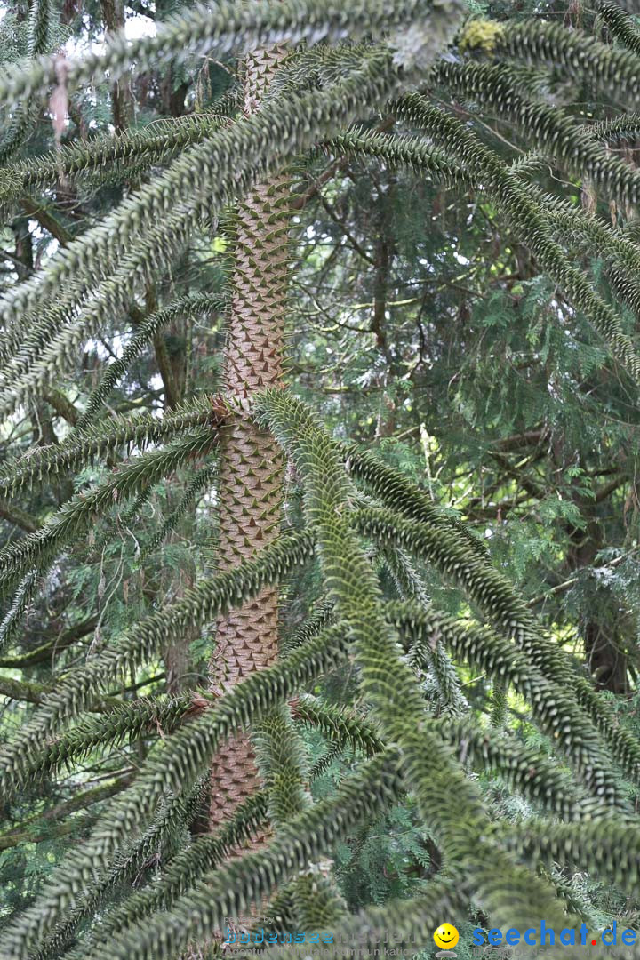 Insel Mainau: Die Blumeninsel mitten im Bodensee, 28.05.2014