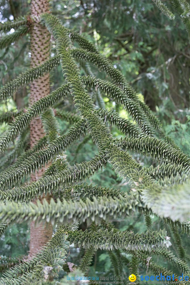 Insel Mainau: Die Blumeninsel mitten im Bodensee, 28.05.2014