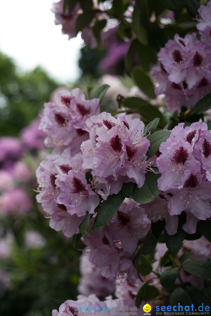 Insel Mainau: Die Blumeninsel mitten im Bodensee, 28.05.2014