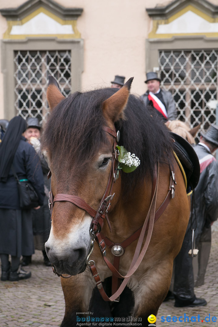 Blutritt: Heilig-Blut-Reliquie: Weingarten am Bodensee, 30.05.2014