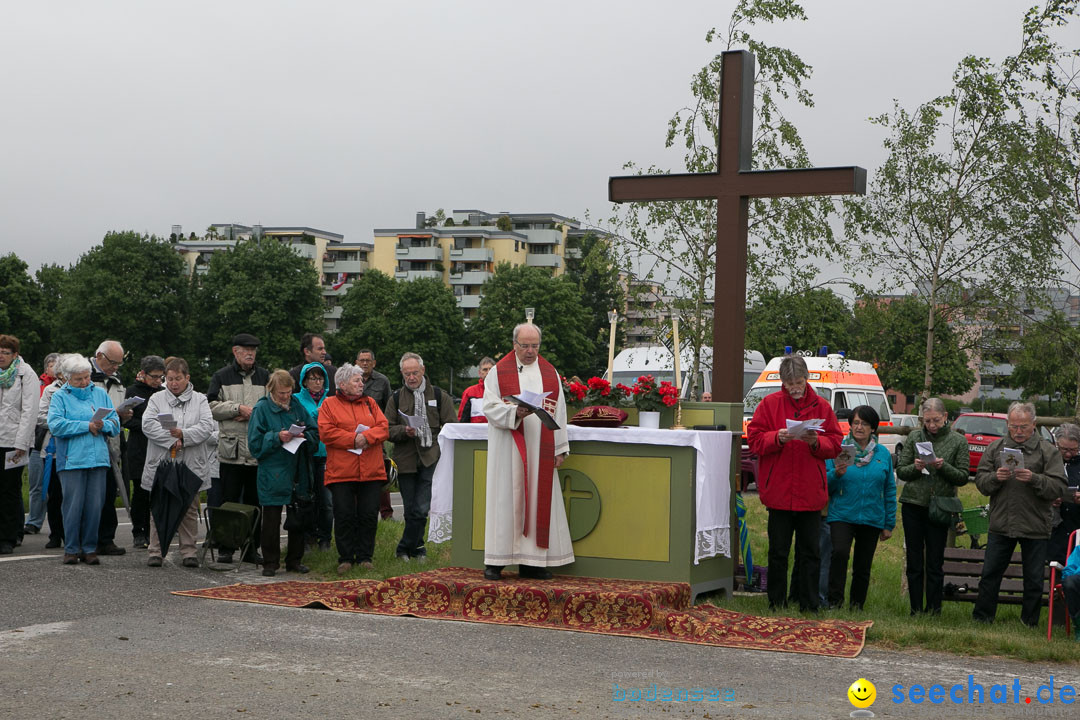 Blutritt: Heilig-Blut-Reliquie: Weingarten am Bodensee, 30.05.2014