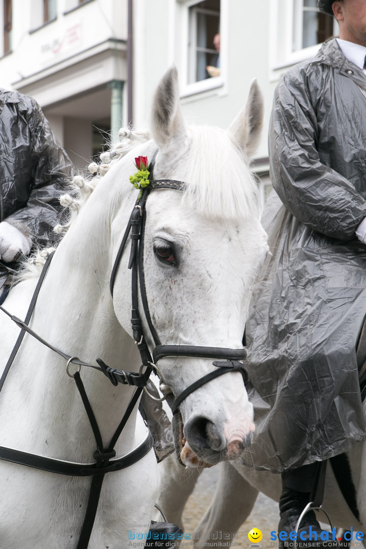 Blutritt: Heilig-Blut-Reliquie: Weingarten am Bodensee, 30.05.2014