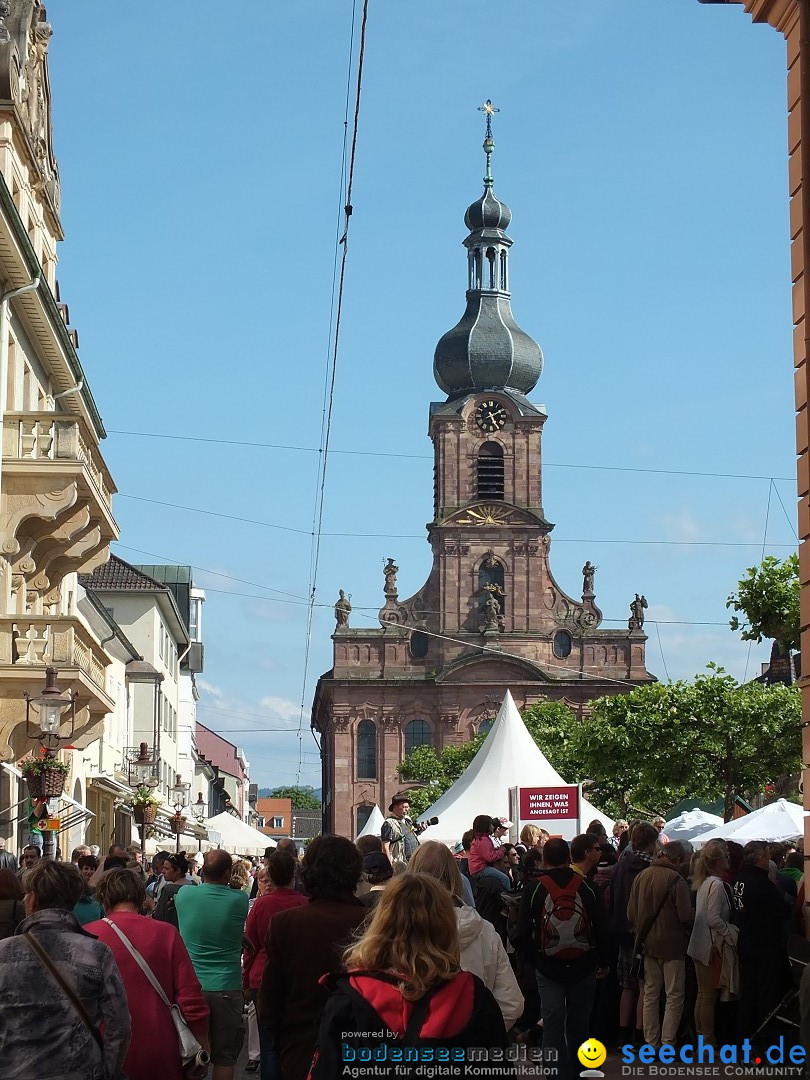 RASTATT-Strassentheaterfestival-30-05-2014-Bodenseecommunity-seechat_de-_47_.JPG