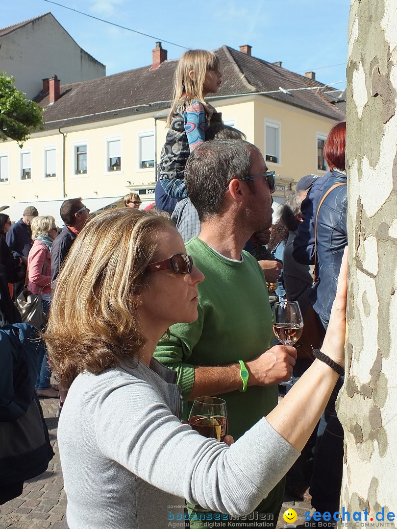 RASTATT-Strassentheaterfestival-30-05-2014-Bodenseecommunity-seechat_de-_54_.JPG