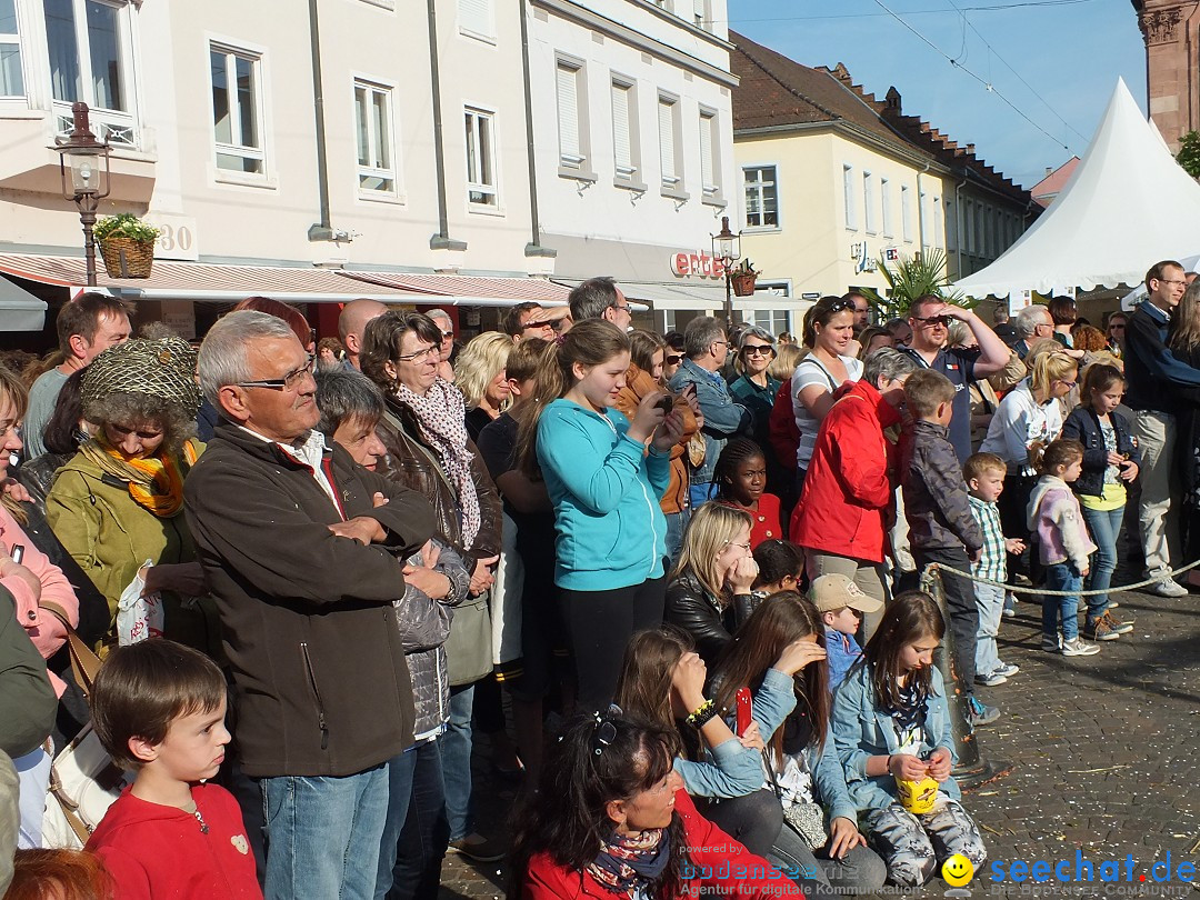 RASTATT-Strassentheaterfestival-30-05-2014-Bodenseecommunity-seechat_de-_82_.JPG