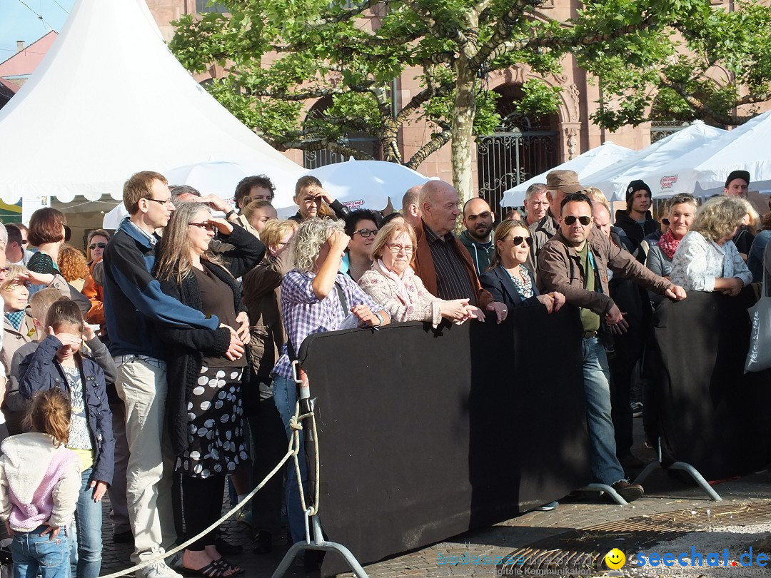 RASTATT-Strassentheaterfestival-30-05-2014-Bodenseecommunity-seechat_de-_83_.JPG