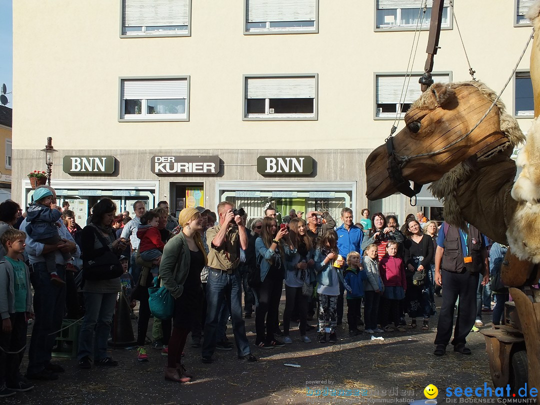 RASTATT-Strassentheaterfestival-30-05-2014-Bodenseecommunity-seechat_de-_92_.JPG