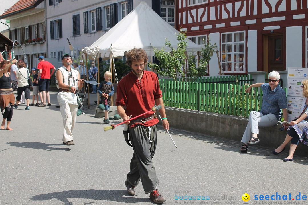 Mittelalterfest: Elgg - Winterthur am Bodensee - Schweiz, 15.06.2014