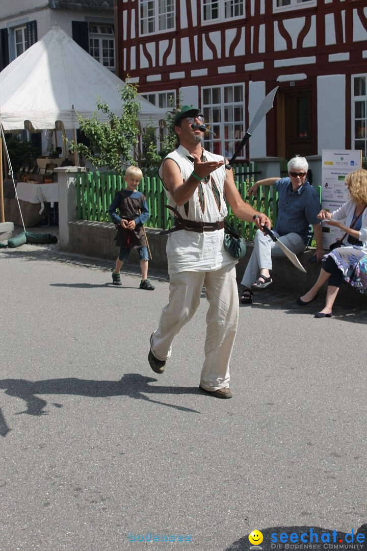 Mittelalterfest: Elgg - Winterthur am Bodensee - Schweiz, 15.06.2014