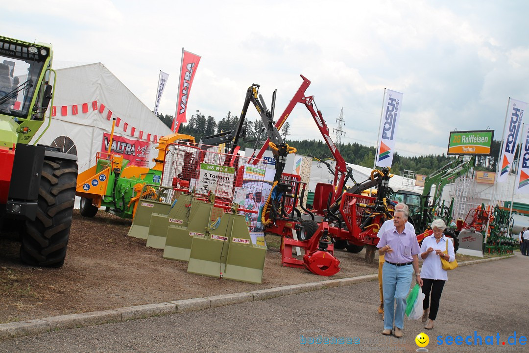 Suedwest-Messe-Villingen-Schwenningen-170614-Bodensee-Community-SEECHAT_DE-IMG_3531.JPG