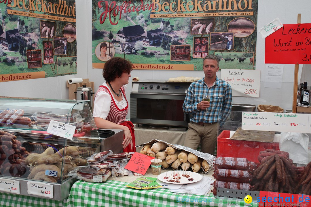 Suedwest-Messe-Villingen-Schwenningen-170614-Bodensee-Community-SEECHAT_DE-IMG_3569.JPG