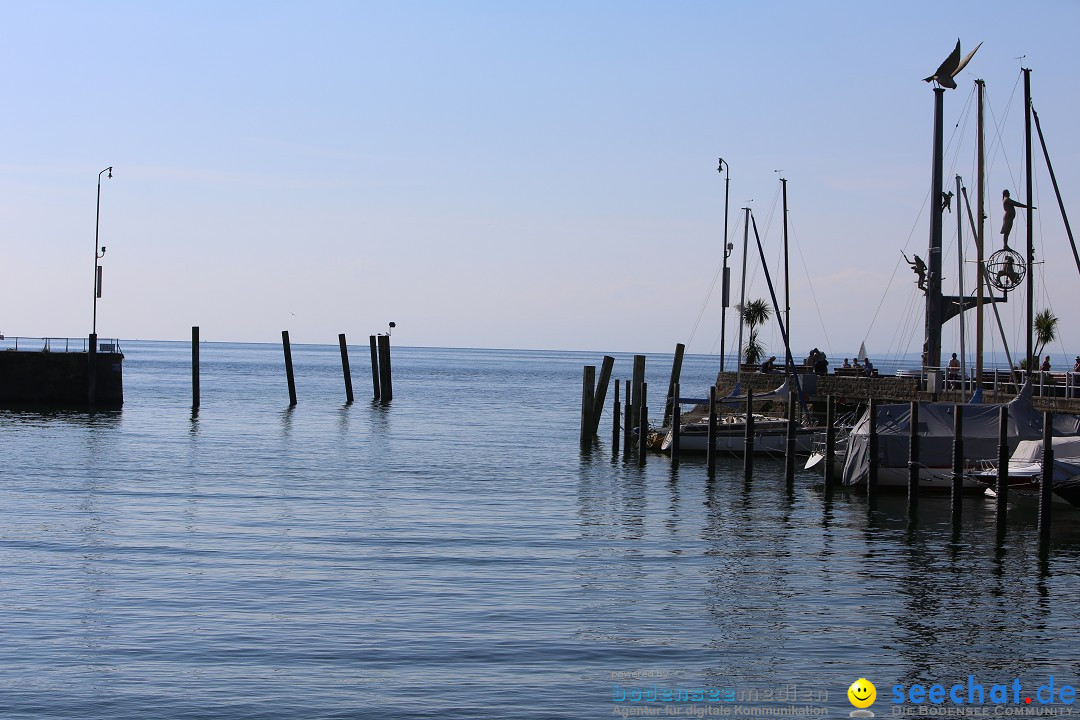 SEEGOLD, das neue Leibinger Bier! Meersburg am Bodensee, 18.06.2014