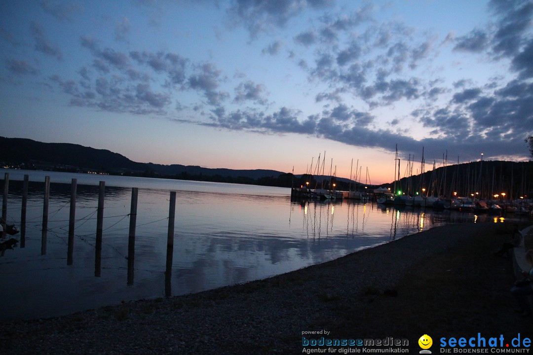 Hafenfest und WM: Deutschland - Ghana: Ludwigshafen am Bodensee, 21.06.2014