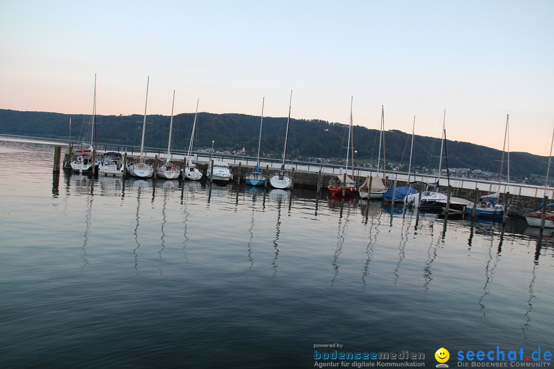 Hafenfest und WM: Deutschland - Ghana: Ludwigshafen am Bodensee, 21.06.2014