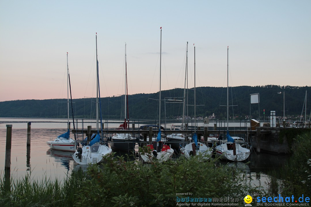 Hafenfest und WM: Deutschland - Ghana: Ludwigshafen am Bodensee, 21.06.2014