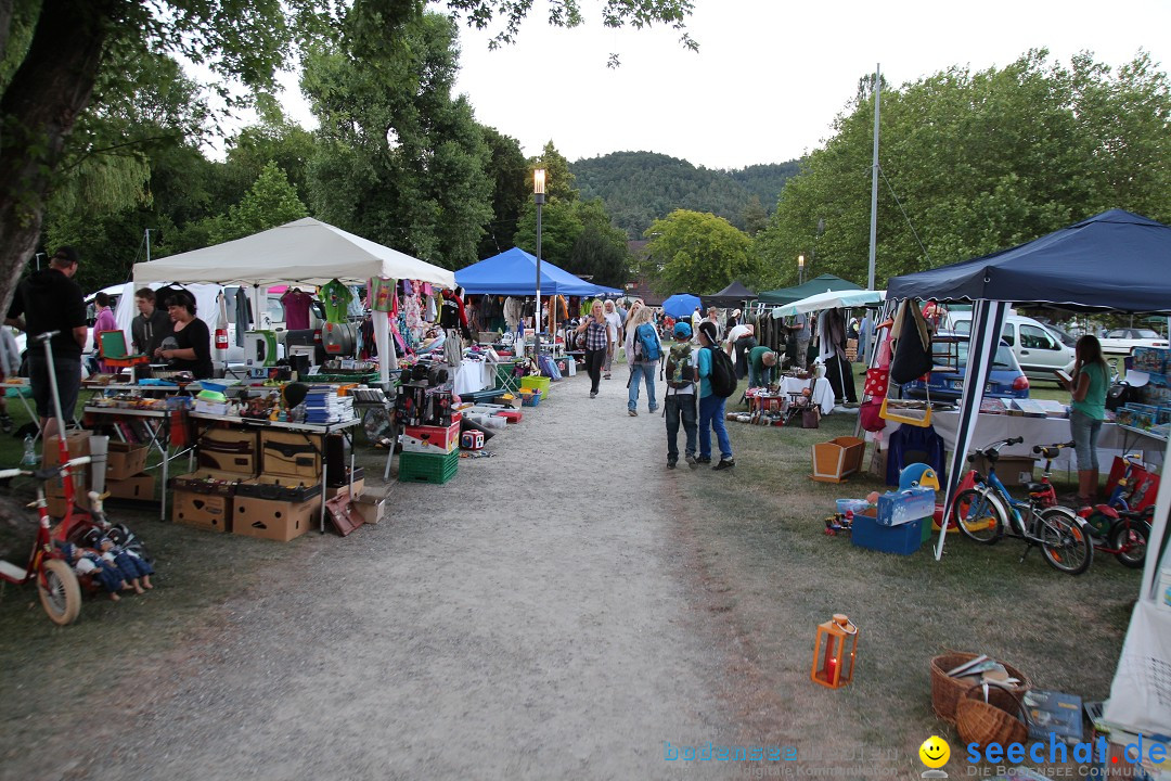 Hafenfest und WM: Deutschland - Ghana: Ludwigshafen am Bodensee, 21.06.2014