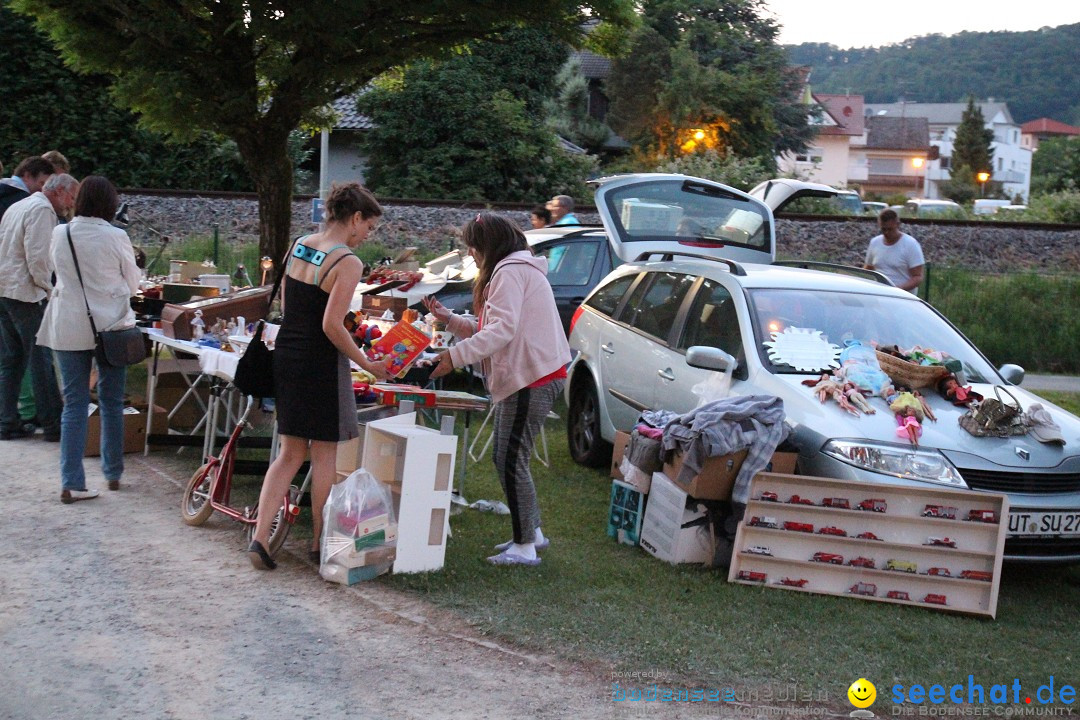 Hafenfest und WM: Deutschland - Ghana: Ludwigshafen am Bodensee, 21.06.2014