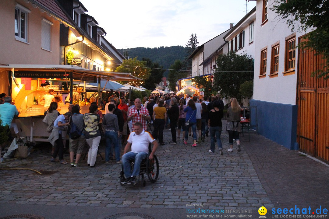 Hafenfest und WM: Deutschland - Ghana: Ludwigshafen am Bodensee, 21.06.2014