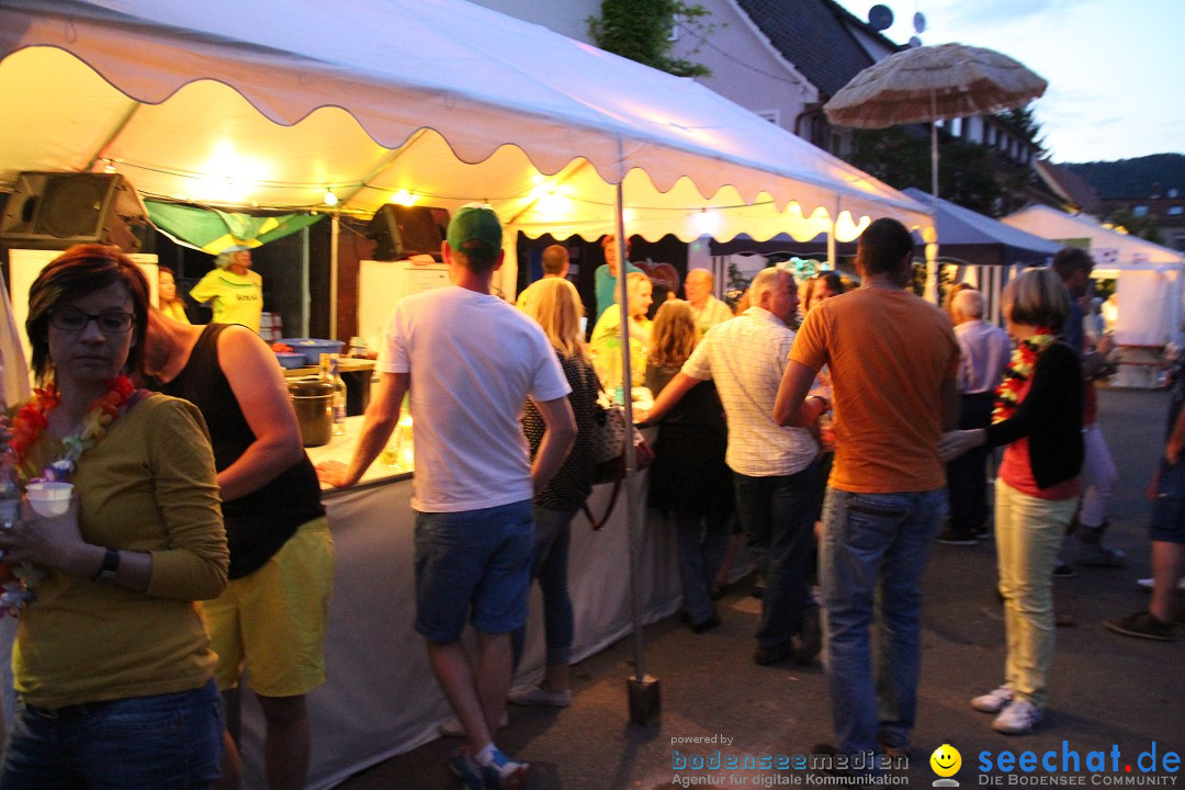 Hafenfest und WM: Deutschland - Ghana: Ludwigshafen am Bodensee, 21.06.2014