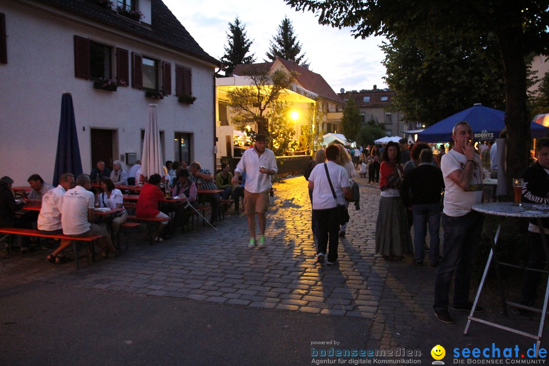 Hafenfest und WM: Deutschland - Ghana: Ludwigshafen am Bodensee, 21.06.2014