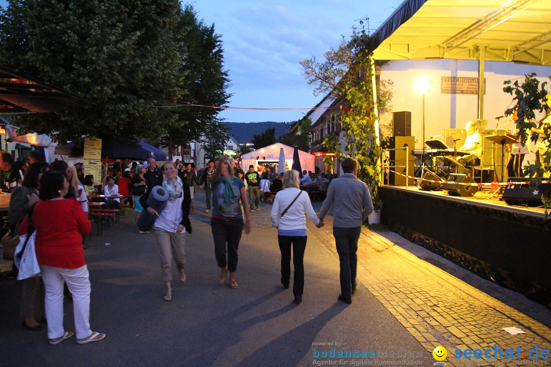 Hafenfest und WM: Deutschland - Ghana: Ludwigshafen am Bodensee, 21.06.2014