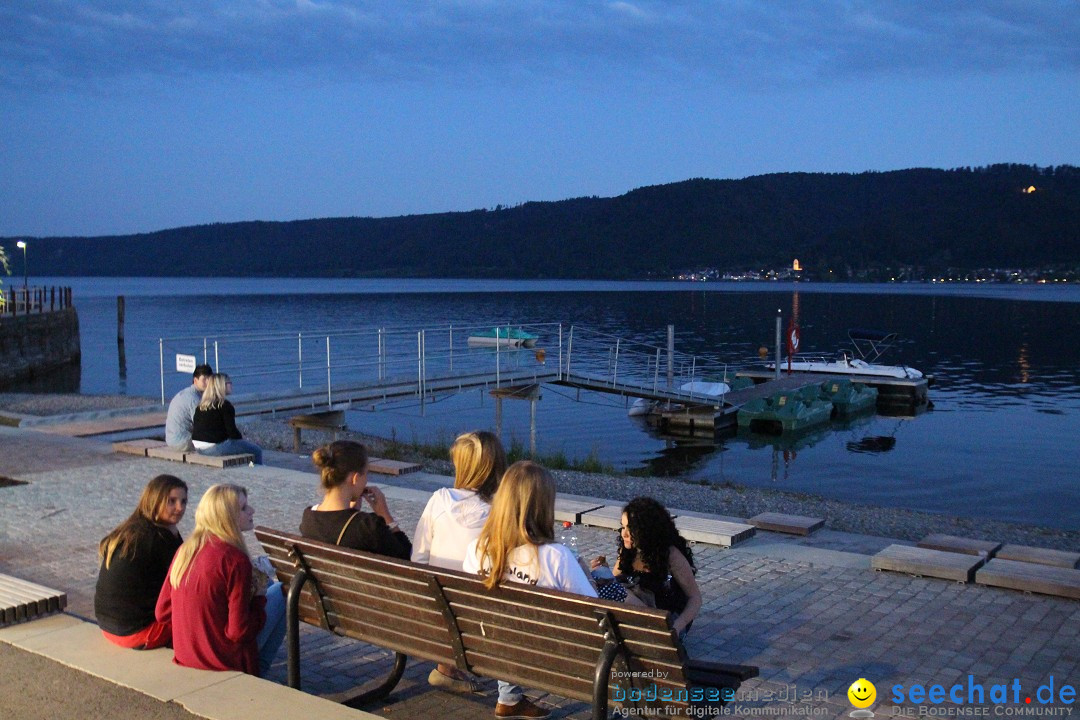 Hafenfest und WM: Deutschland - Ghana: Ludwigshafen am Bodensee, 21.06.2014