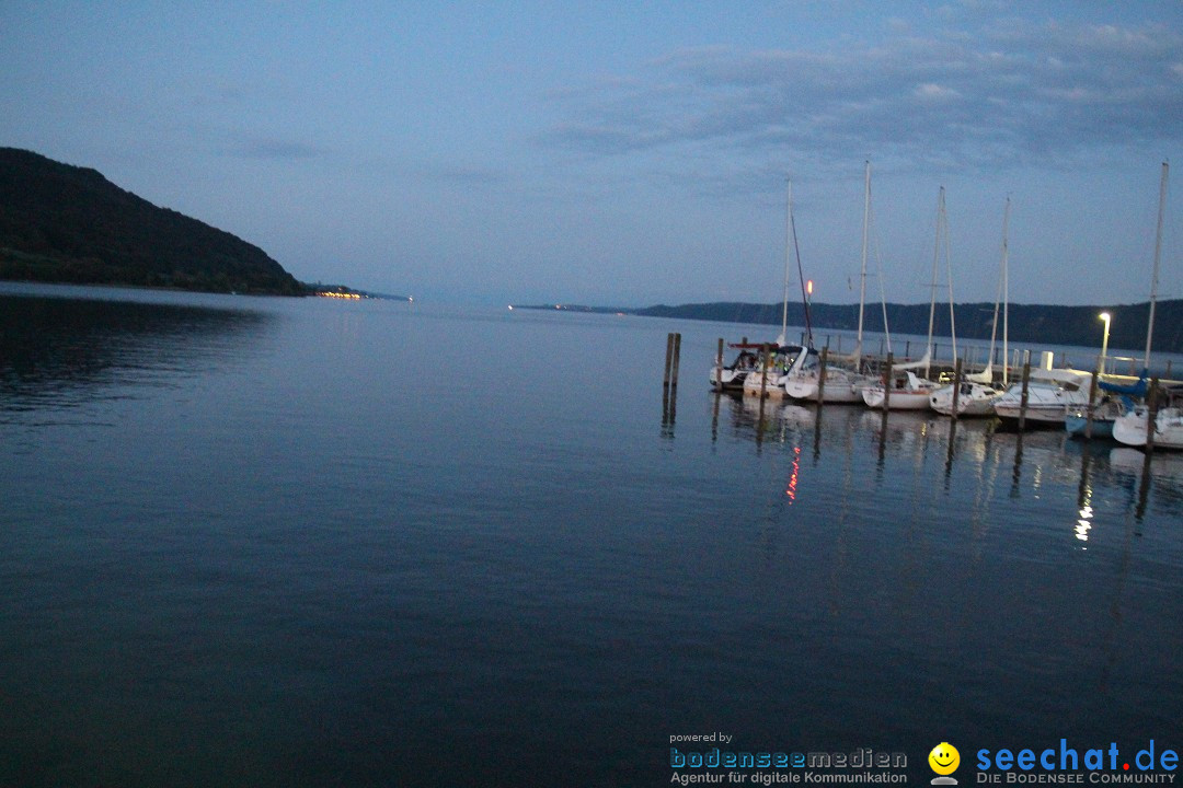 Hafenfest und WM: Deutschland - Ghana: Ludwigshafen am Bodensee, 21.06.2014