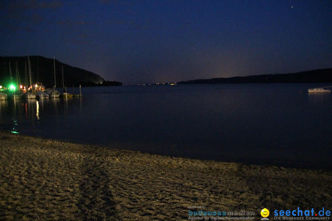 Hafenfest und WM: Deutschland - Ghana: Ludwigshafen am Bodensee, 21.06.2014