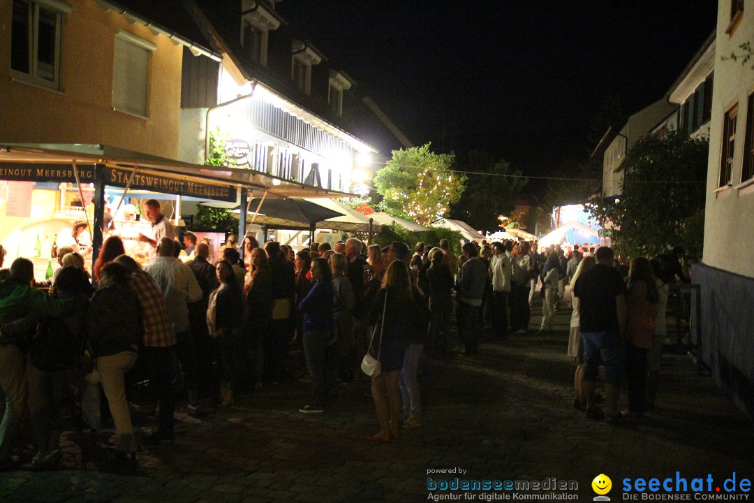 Hafenfest und WM: Deutschland - Ghana: Ludwigshafen am Bodensee, 21.06.2014