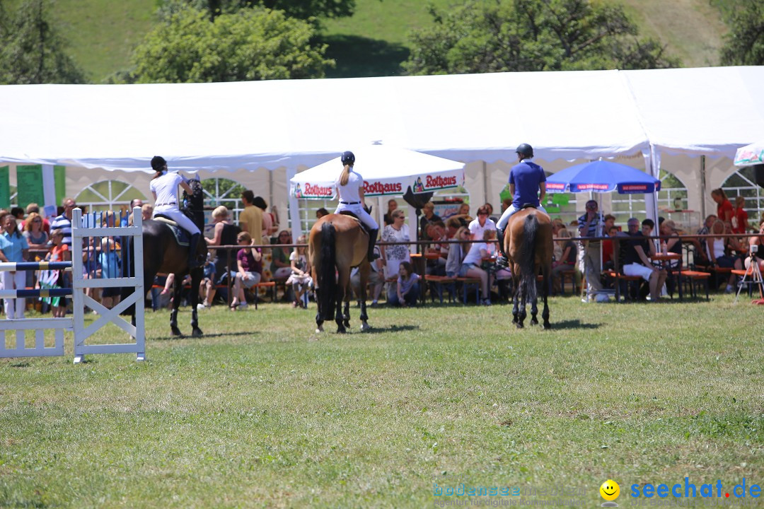 Reitturnier auf dem Ziegelhof in Dettingen-Wallhausen am Bodensee, 22.06.20