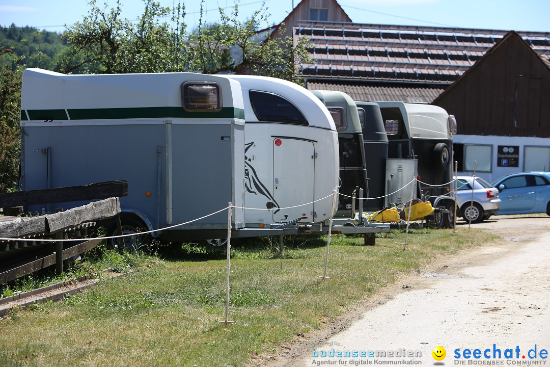 Reitturnier auf dem Ziegelhof in Dettingen-Wallhausen am Bodensee, 22.06.20