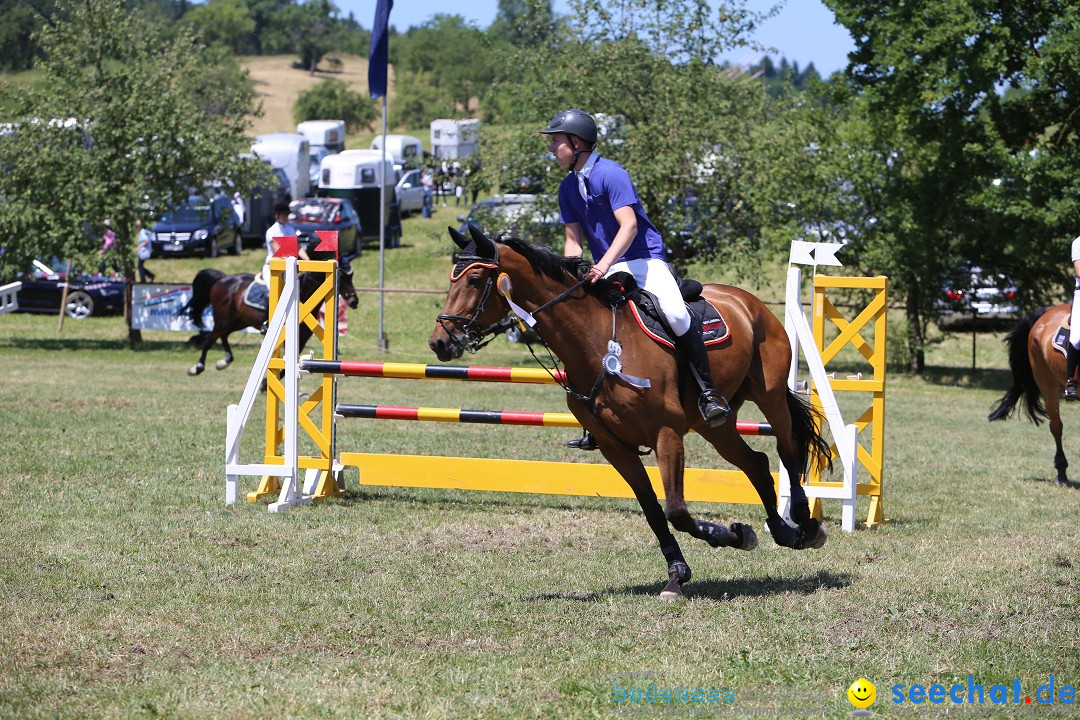 Reitturnier auf dem Ziegelhof in Dettingen-Wallhausen am Bodensee, 22.06.20