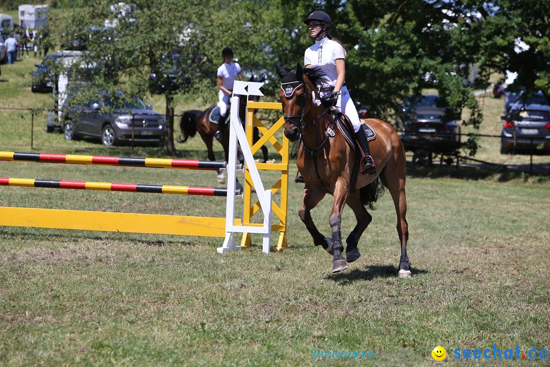 Reitturnier auf dem Ziegelhof in Dettingen-Wallhausen am Bodensee, 22.06.20