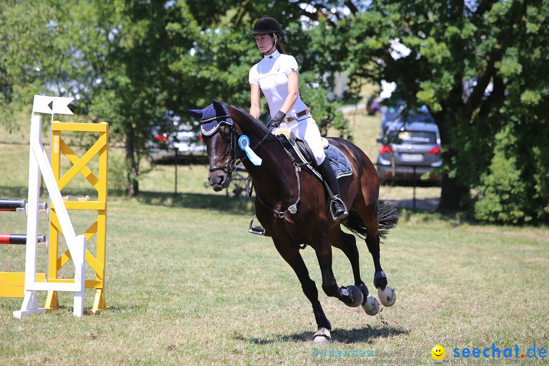 Reitturnier auf dem Ziegelhof in Dettingen-Wallhausen am Bodensee, 22.06.20