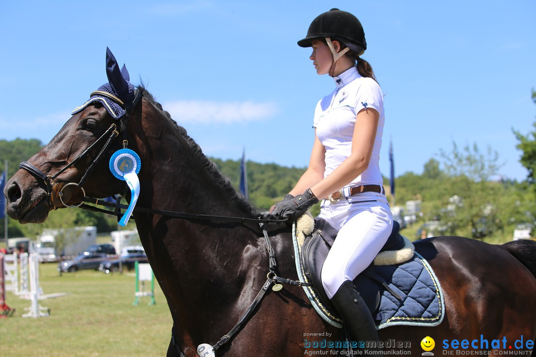 Reitturnier auf dem Ziegelhof in Dettingen-Wallhausen am Bodensee, 22.06.20