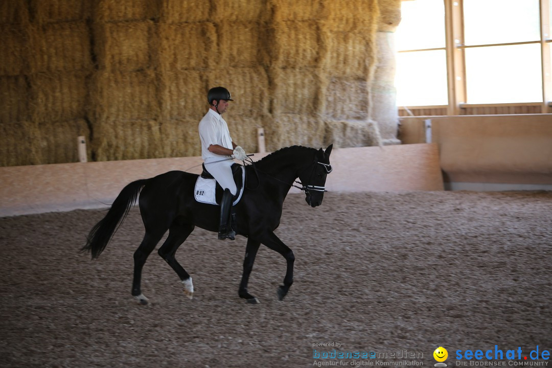 Reitturnier auf dem Ziegelhof in Dettingen-Wallhausen am Bodensee, 22.06.20