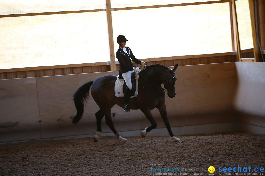 Reitturnier auf dem Ziegelhof in Dettingen-Wallhausen am Bodensee, 22.06.20