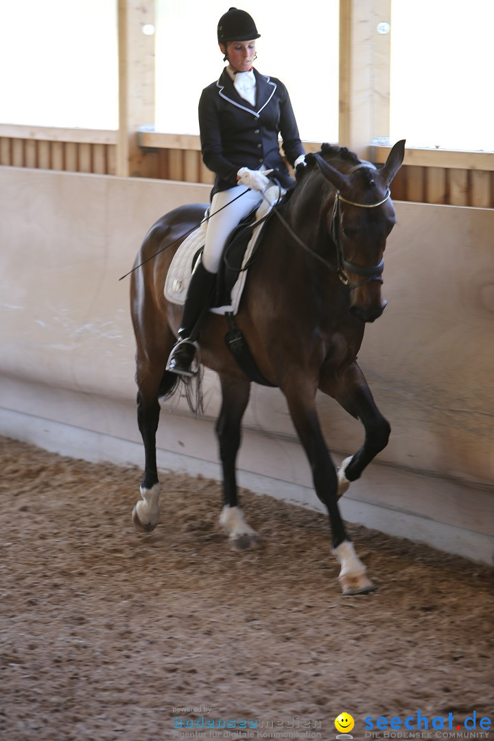 Reitturnier auf dem Ziegelhof in Dettingen-Wallhausen am Bodensee, 22.06.20