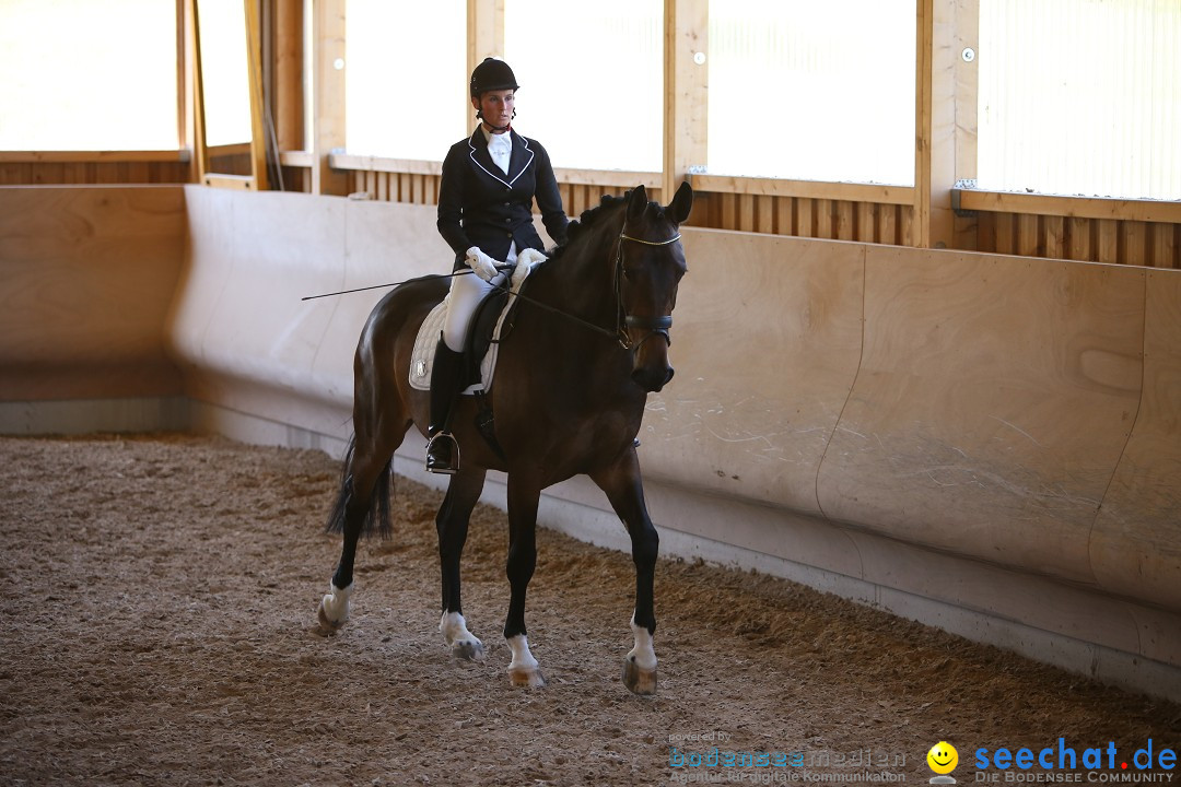 Reitturnier auf dem Ziegelhof in Dettingen-Wallhausen am Bodensee, 22.06.20