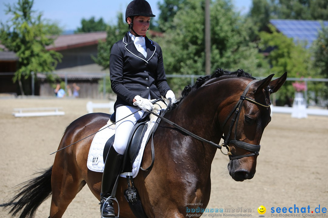 Reitturnier auf dem Ziegelhof in Dettingen-Wallhausen am Bodensee, 22.06.20