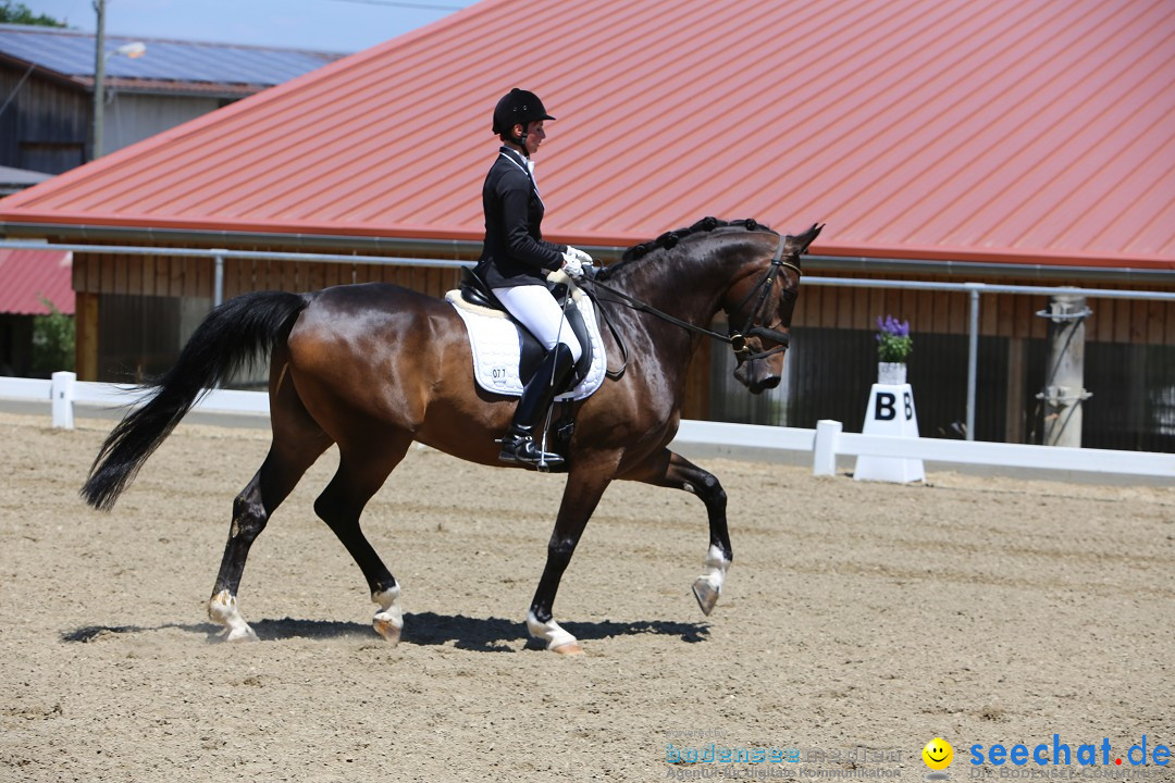 Reitturnier auf dem Ziegelhof in Dettingen-Wallhausen am Bodensee, 22.06.20