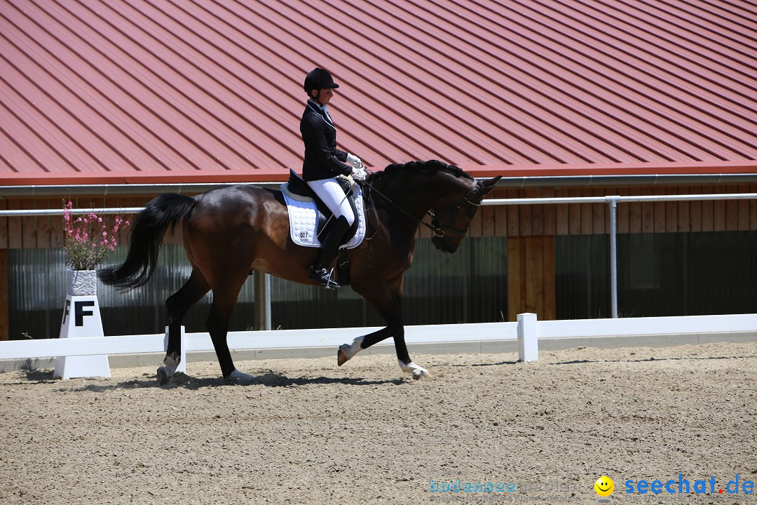 Reitturnier auf dem Ziegelhof in Dettingen-Wallhausen am Bodensee, 22.06.20