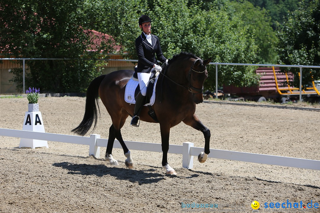 Reitturnier auf dem Ziegelhof in Dettingen-Wallhausen am Bodensee, 22.06.20