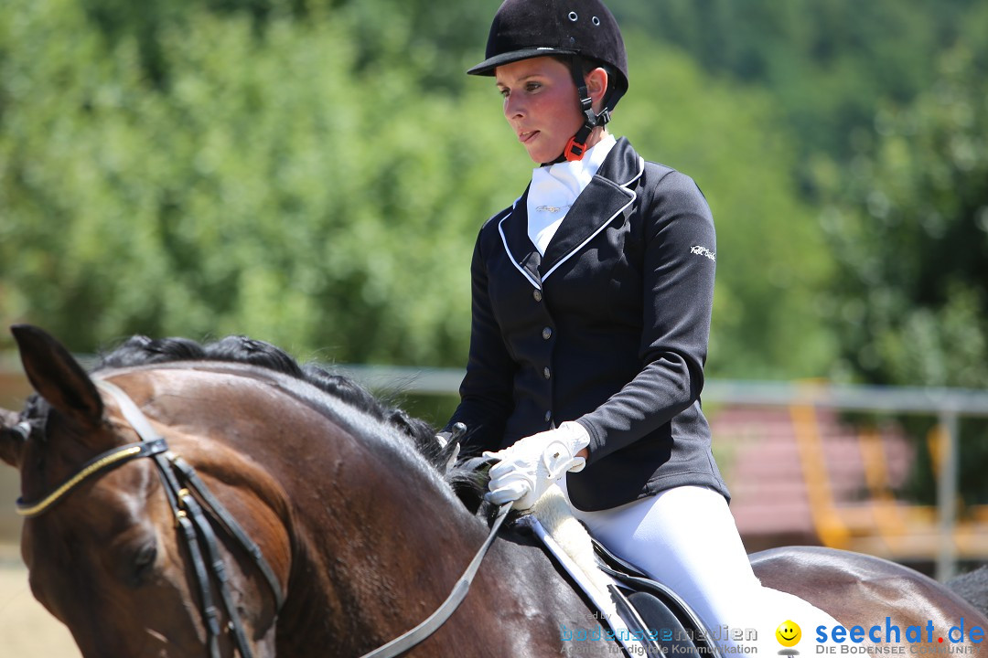 Reitturnier auf dem Ziegelhof in Dettingen-Wallhausen am Bodensee, 22.06.20