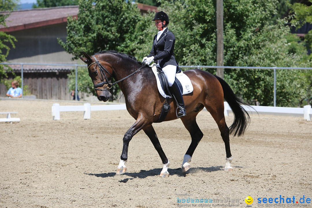 Reitturnier auf dem Ziegelhof in Dettingen-Wallhausen am Bodensee, 22.06.20