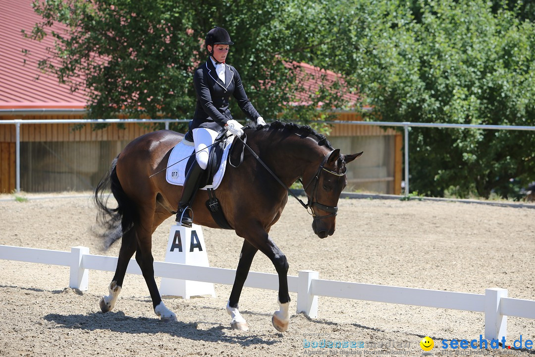 Reitturnier auf dem Ziegelhof in Dettingen-Wallhausen am Bodensee, 22.06.20