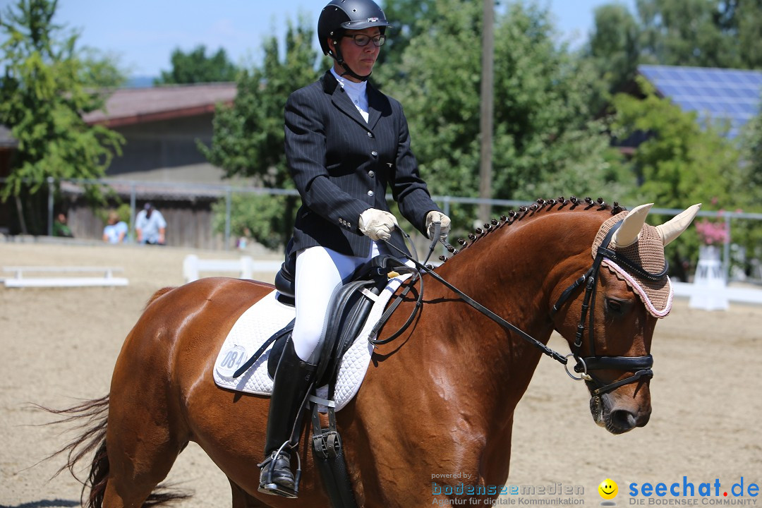 Reitturnier auf dem Ziegelhof in Dettingen-Wallhausen am Bodensee, 22.06.20